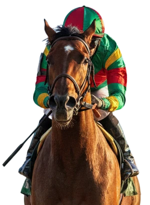 Sports Betting